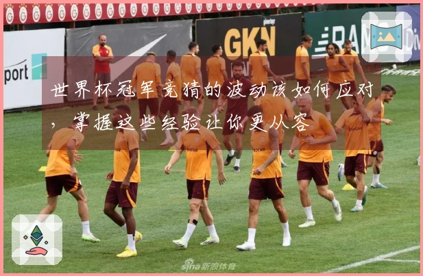 世界杯冠军竞猜的波动该如何应对，掌握这些经验让你更从容