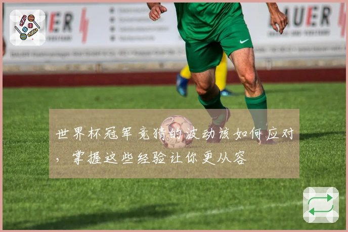 世界杯冠军竞猜的波动该如何应对，掌握这些经验让你更从容