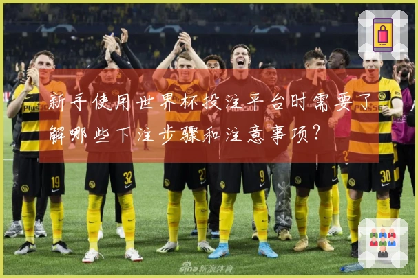 新手使用世界杯投注平台时需要了解哪些下注步骤和注意事项？