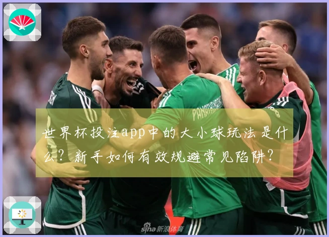 世界杯投注app中的大小球玩法是什么？新手如何有效规避常见陷阱？