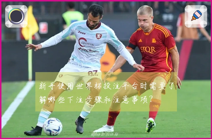新手使用世界杯投注平台时需要了解哪些下注步骤和注意事项？